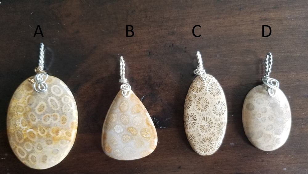 Coral Fossil Pendants - Various Unique Pendants, handmade by Wilhelmina St&ouml;cker