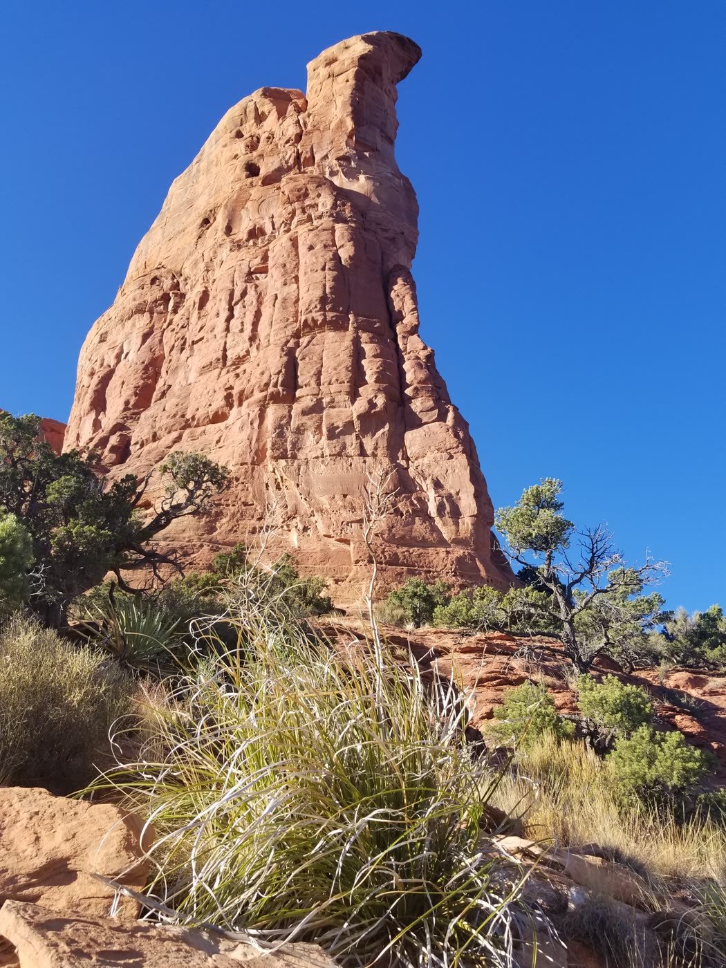 Soldiers Pass, Sedona, AZ