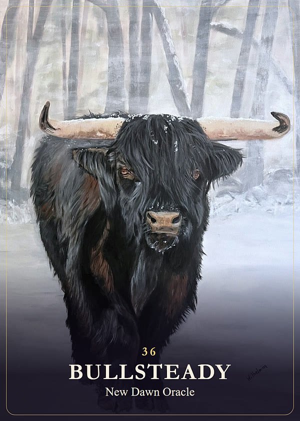 Bullsteady