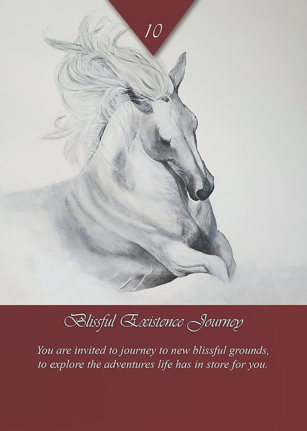 Blissful Existence Journey