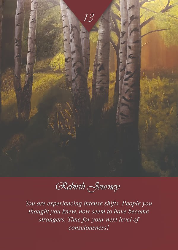 Rebirth Journey