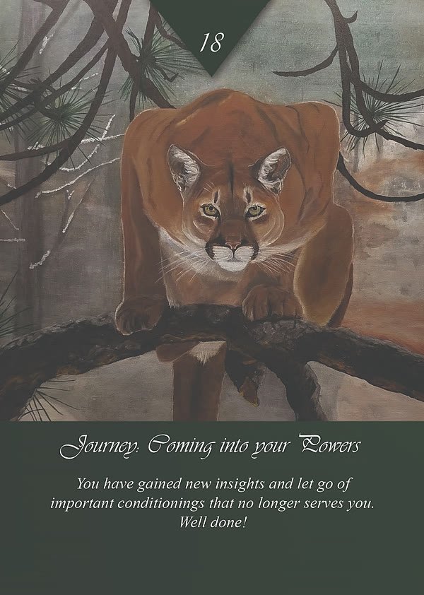 Journey: Coming into your Powers