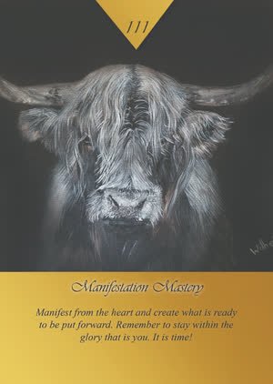 Manifestation Mastery